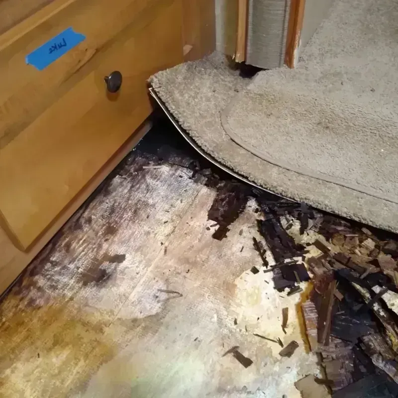 Wood Floor Water Damage in Lapeer County, MI